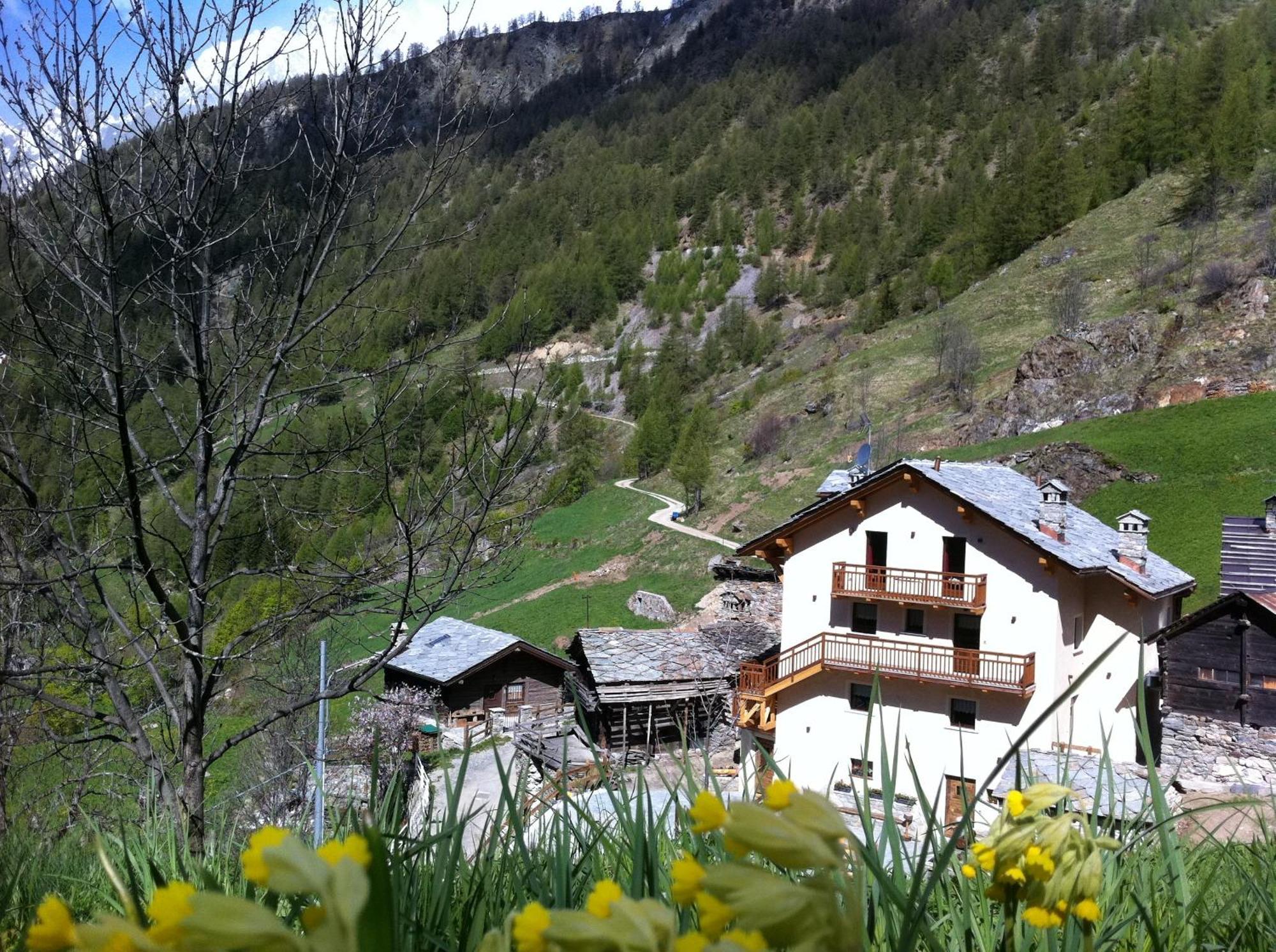 Alpe Rebelle Bed & Breakfast Bionaz Bagian luar foto
