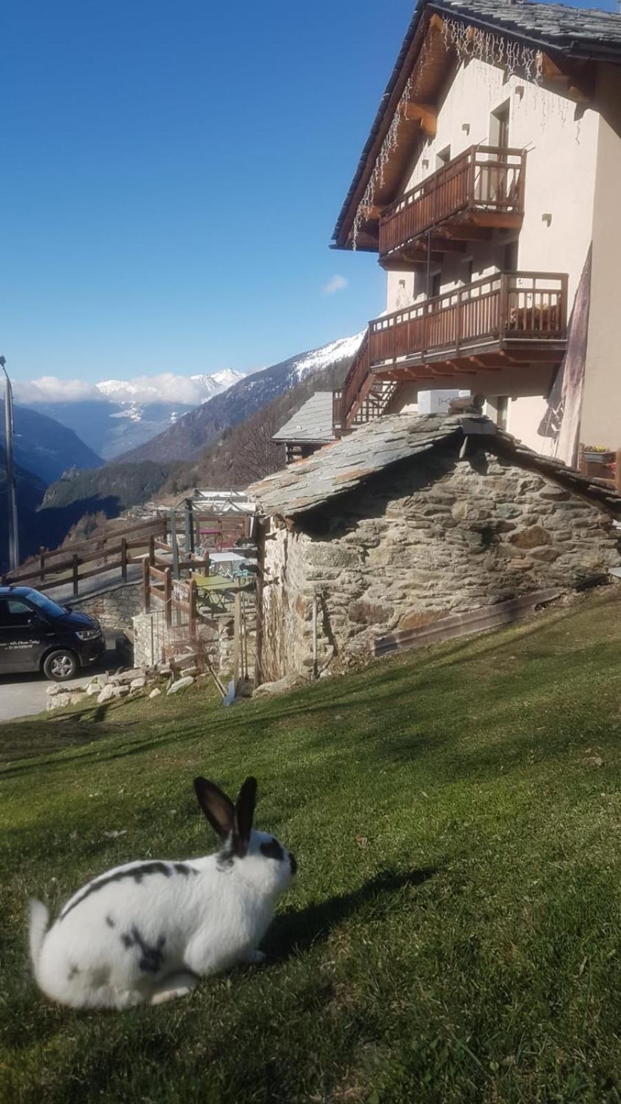 Alpe Rebelle Bed & Breakfast Bionaz Bagian luar foto
