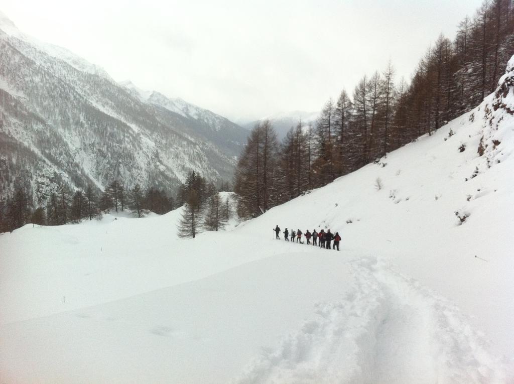 Alpe Rebelle Bed & Breakfast Bionaz Bagian luar foto